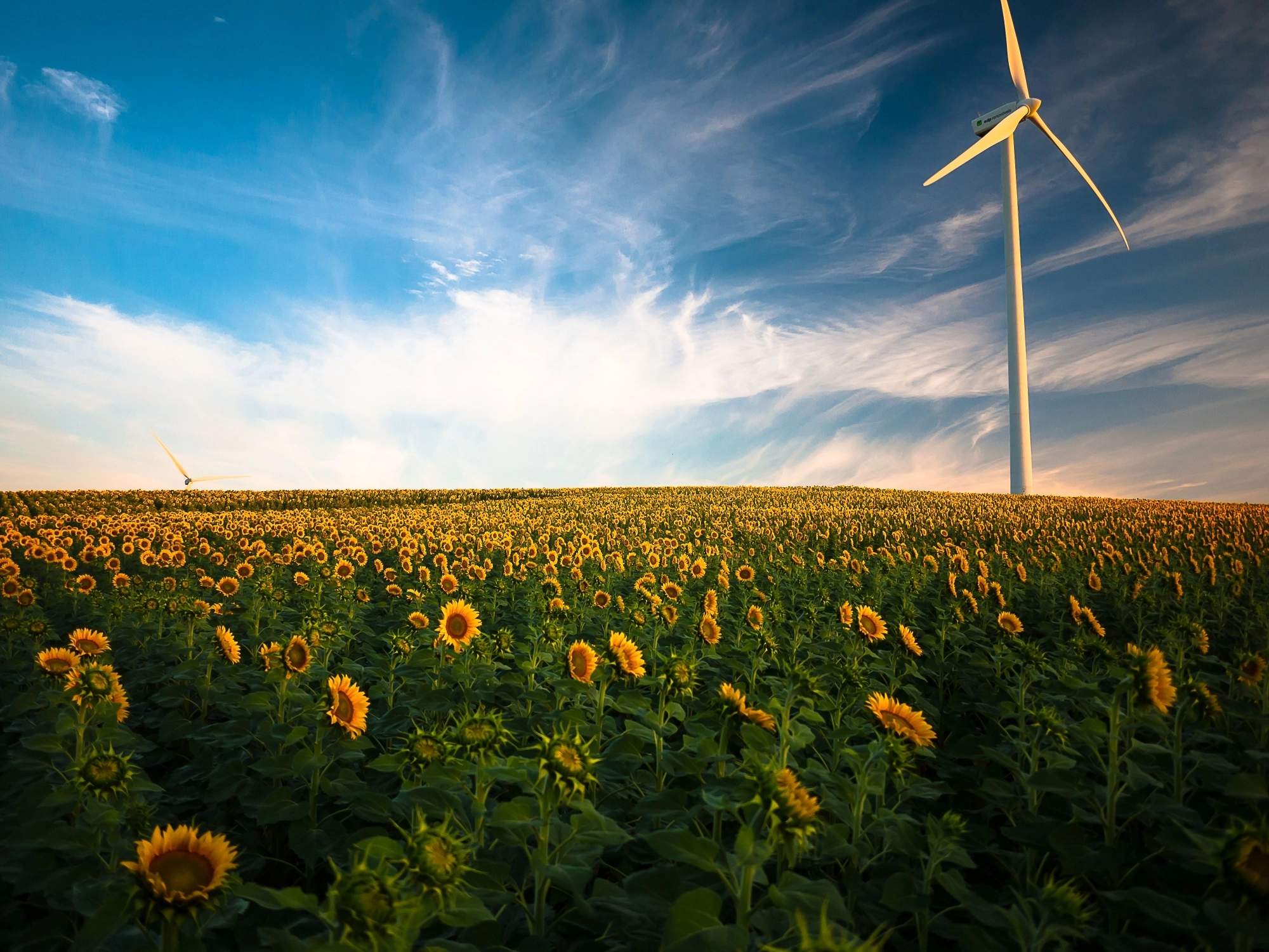 Aandeel hernieuwbare energie blijft vrijwel gelijk