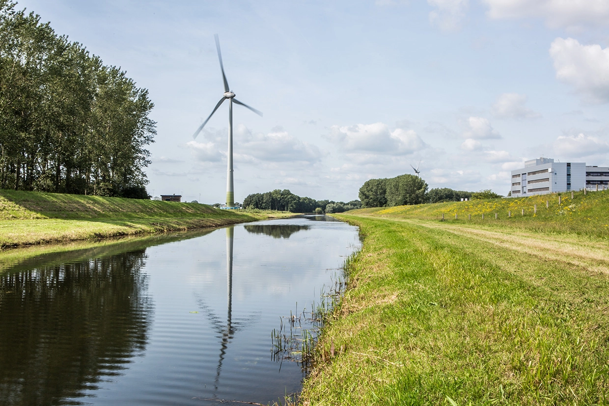 Pure Energie en Ecoleon: Elektrisch rijden op 100 procent groene energie