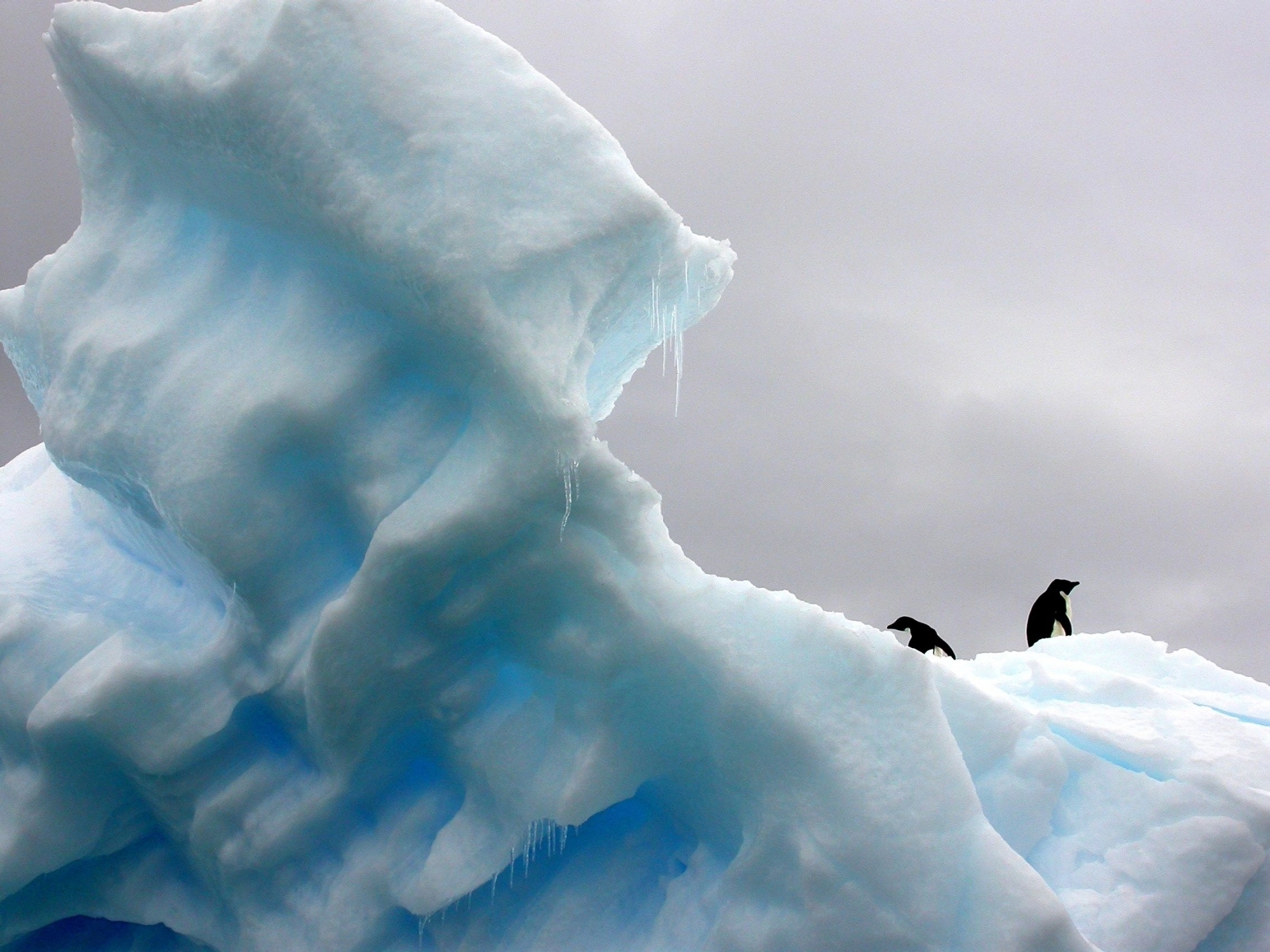 Negatieve emissies onmisbaar voor effectief klimaatbeleid